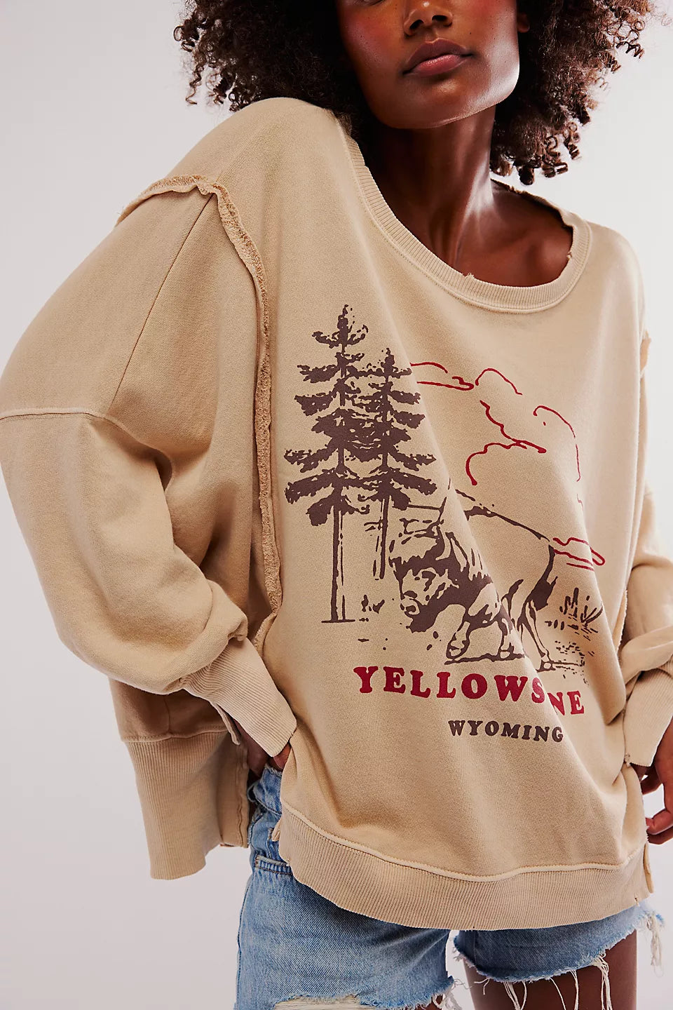 Free People We The Free Graphic Camden Pullover - YELLOWSTONE BISON Faux Fur Trim